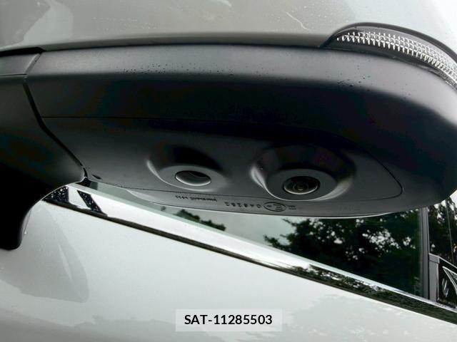 Toyota ALPHARD 2025-01 8221478-8