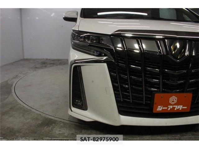 Toyota ALPHARD 2020-12 8224217-10