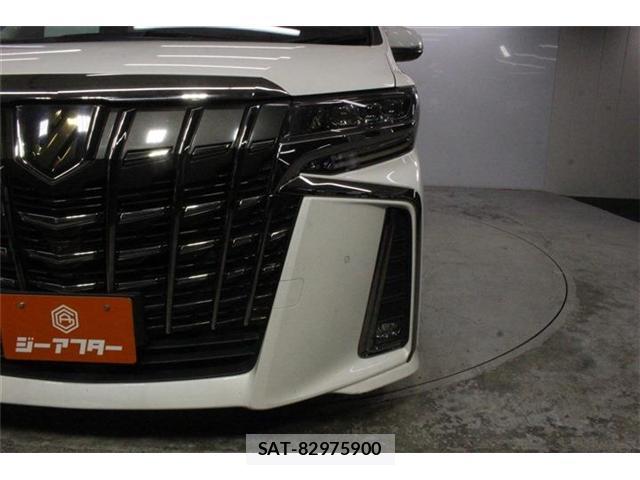 Toyota ALPHARD 2020-12 8224217-13