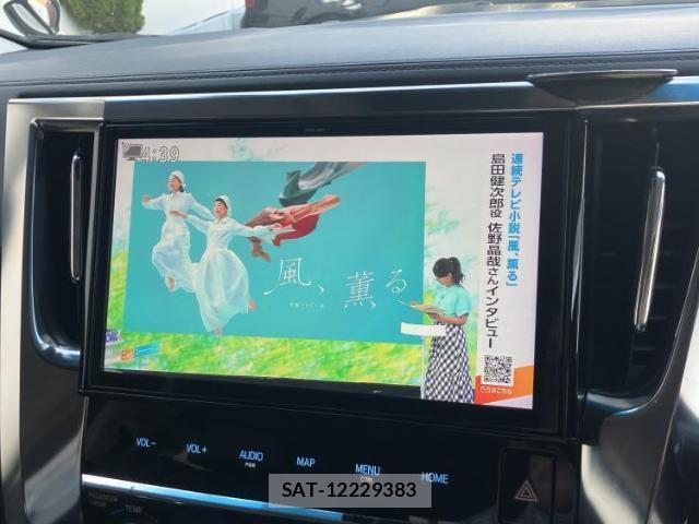 Toyota ALPHARD 2019-07 8225189-12