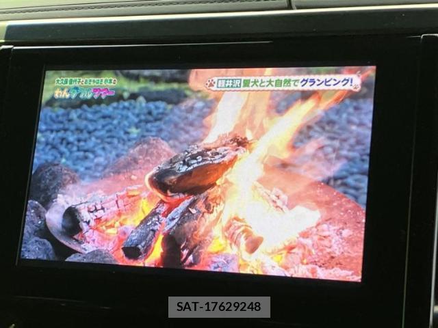 Toyota ALPHARD 2020-12 8225241-11