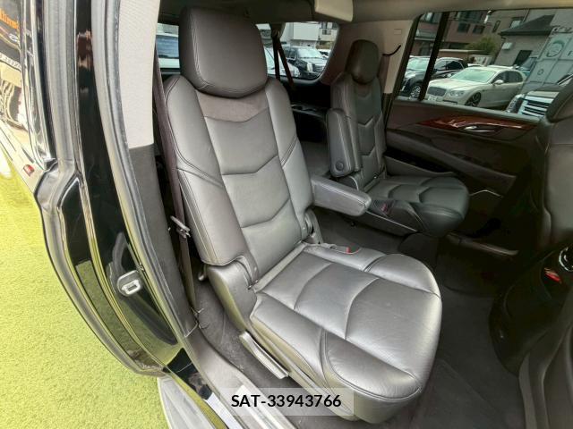 Cadillac ESCALADE 2017-03 8224350-13