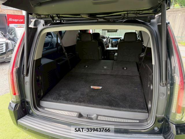 Cadillac ESCALADE 2017-03 8224350-18