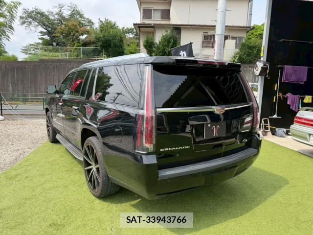 Cadillac ESCALADE 2017-03 8224350-2