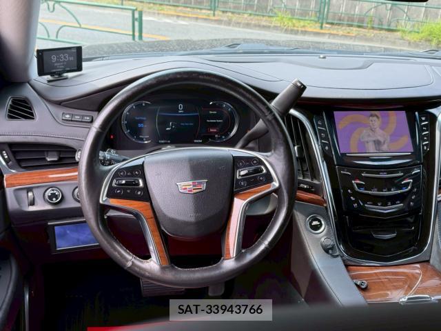 Cadillac ESCALADE 2017-03 8224350-8