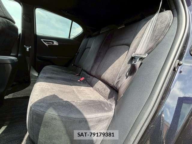 Lexus CT 2011-09 8222767-7