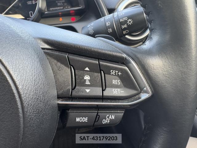 Mazda CX-3 2017-09 8216460-19