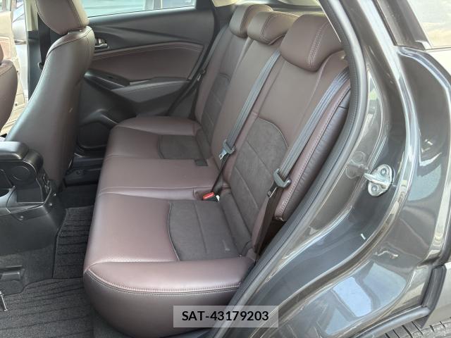 Mazda CX-3 2017-09 8216460-7