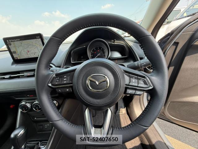Mazda CX-3 2022-06 8223742-3