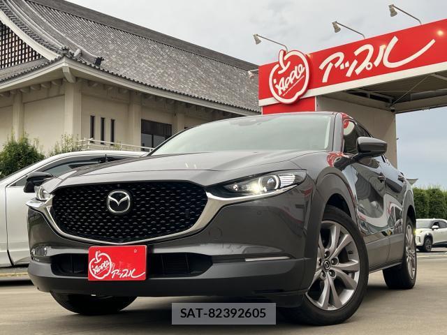 Mazda CX-30 2019-12 8216204-0