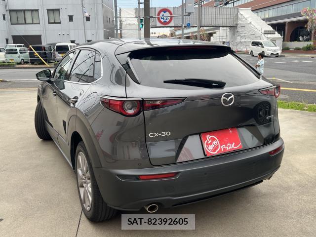 Mazda CX-30 2019-12 8216204-10