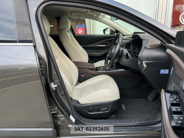 Mazda CX-30 2019-12 8216204-11