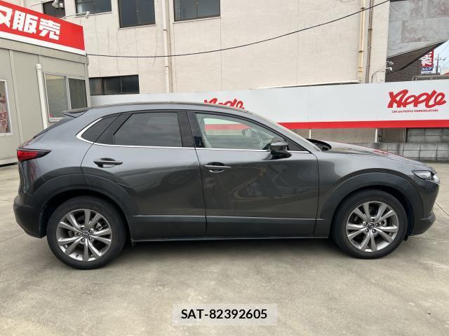 Mazda CX-30 2019-12 8216204-16
