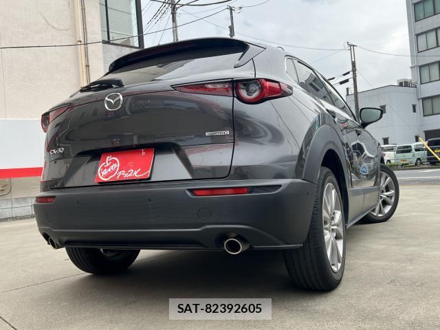Mazda CX-30 2019-12 8216204-2