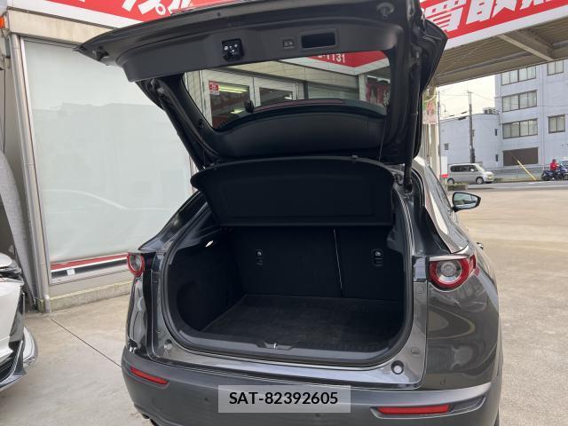 Mazda CX-30 2019-12 8216204-7
