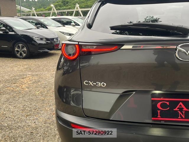 Mazda CX-30 2020-02 8219888-12