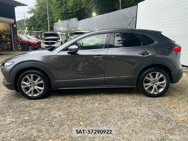 Mazda CX-30 2020-02 8219888-17
