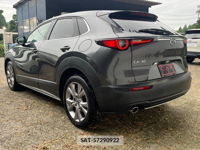 Mazda CX-30 2020-02 8219888-7