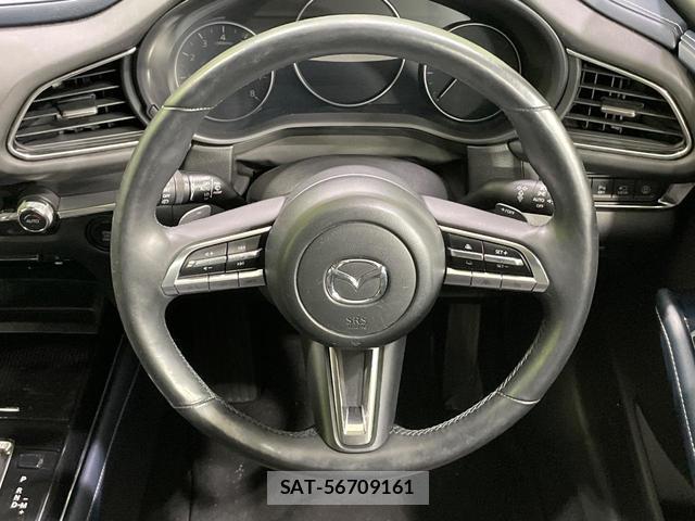 Mazda CX-30 2019-12 8222344-10