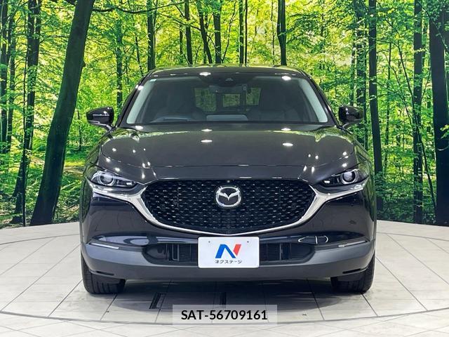 Mazda CX-30 2019-12 8222344-13