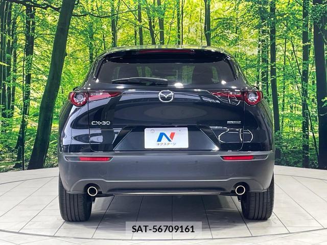 Mazda CX-30 2019-12 8222344-14