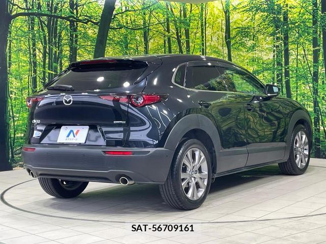 Mazda CX-30 2019-12 8222344-16