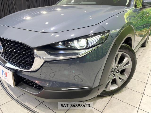 Mazda CX-30 2021-01 8222663-11