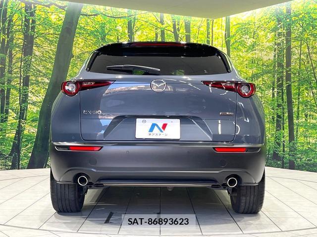 Mazda CX-30 2021-01 8222663-14