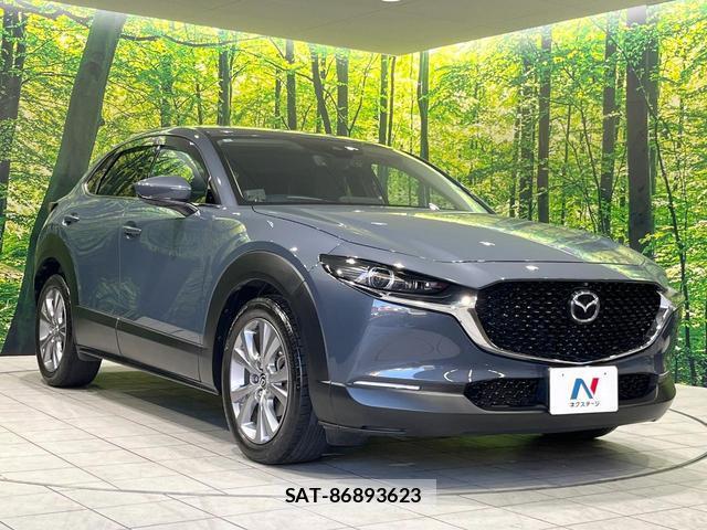Mazda CX-30 2021-01 8222663-15
