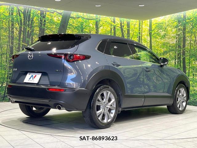 Mazda CX-30 2021-01 8222663-16