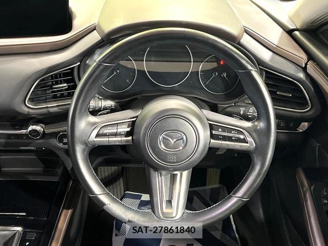Mazda CX-30 2022-06 8224369-10
