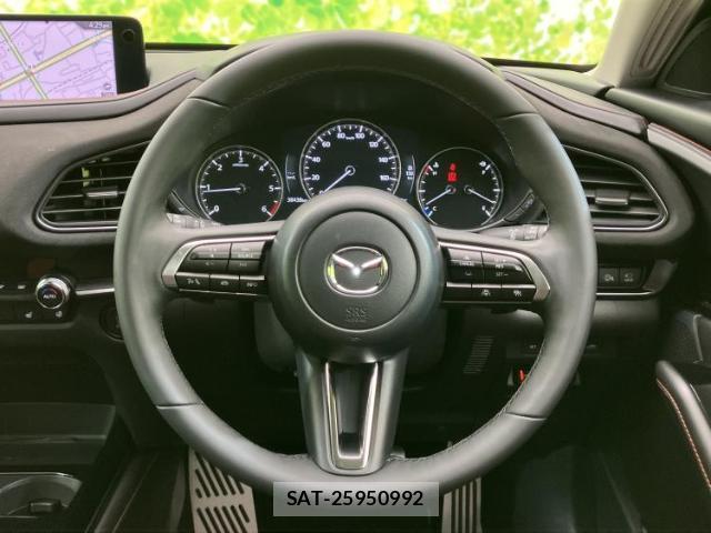 Mazda CX-30 2023-11 8225146-15