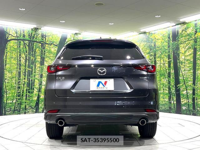 Mazda CX-8 2023-03 8216111-16