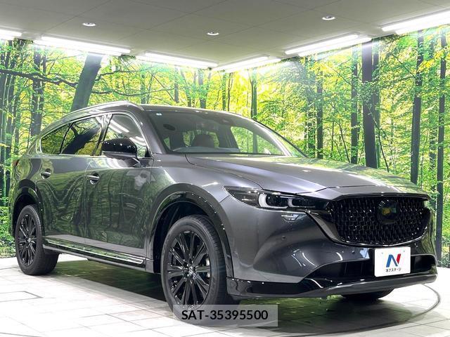 Mazda CX-8 2023-03 8216111-17