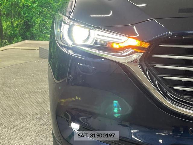 Mazda CX-8 2018-07 8219092-11