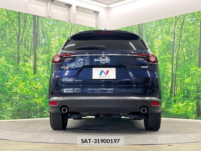 Mazda CX-8 2018-07 8219092-14