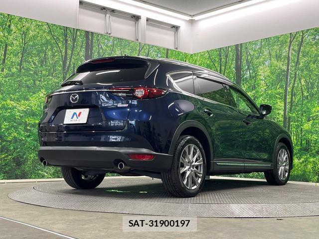 Mazda CX-8 2018-07 8219092-16