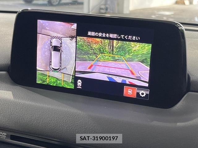 Mazda CX-8 2018-07 8219092-3