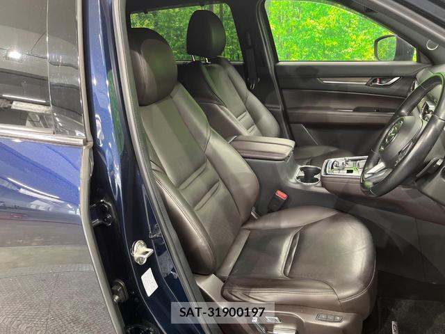 Mazda CX-8 2018-07 8219092-6