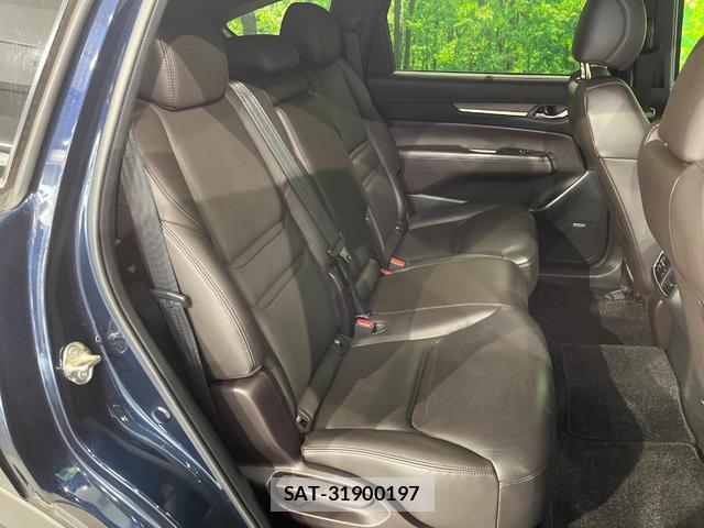 Mazda CX-8 2018-07 8219092-7