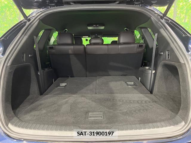 Mazda CX-8 2018-07 8219092-9