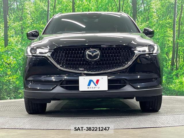 Mazda CX-8 2021-03 8219103-13