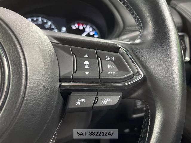 Mazda CX-8 2021-03 8219103-4