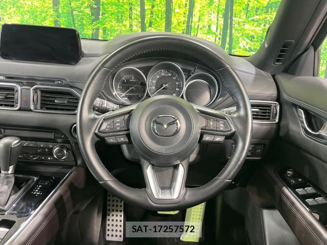Mazda CX-8 2018-03 8219141-12