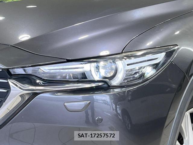 Mazda CX-8 2018-03 8219141-13