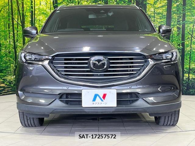 Mazda CX-8 2018-03 8219141-15