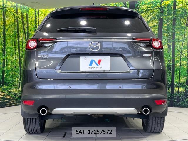 Mazda CX-8 2018-03 8219141-16