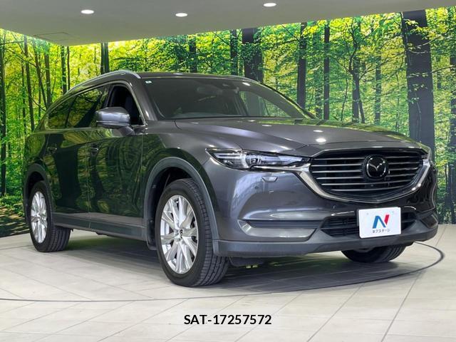 Mazda CX-8 2018-03 8219141-17