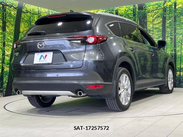Mazda CX-8 2018-03 8219141-18