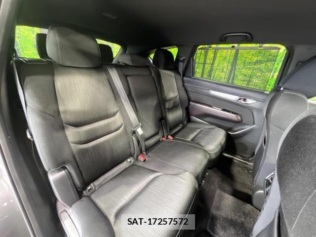 Mazda CX-8 2018-03 8219141-9